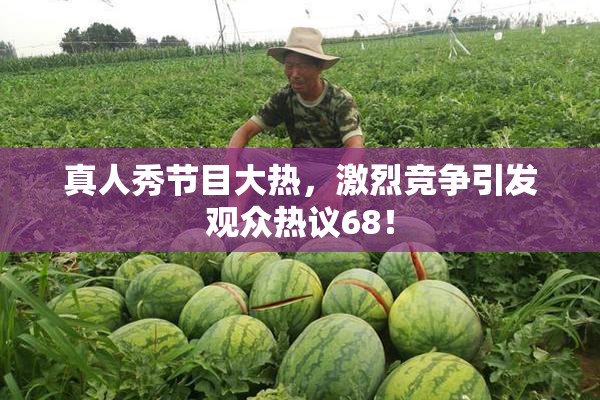 真人秀节目大热，激烈竞争引发观众热议68！