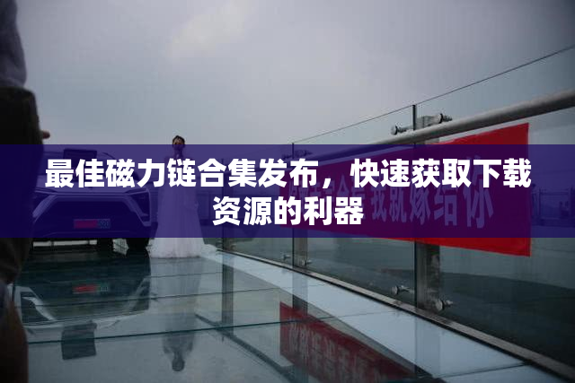 最佳磁力链合集发布，快速获取下载资源的利器