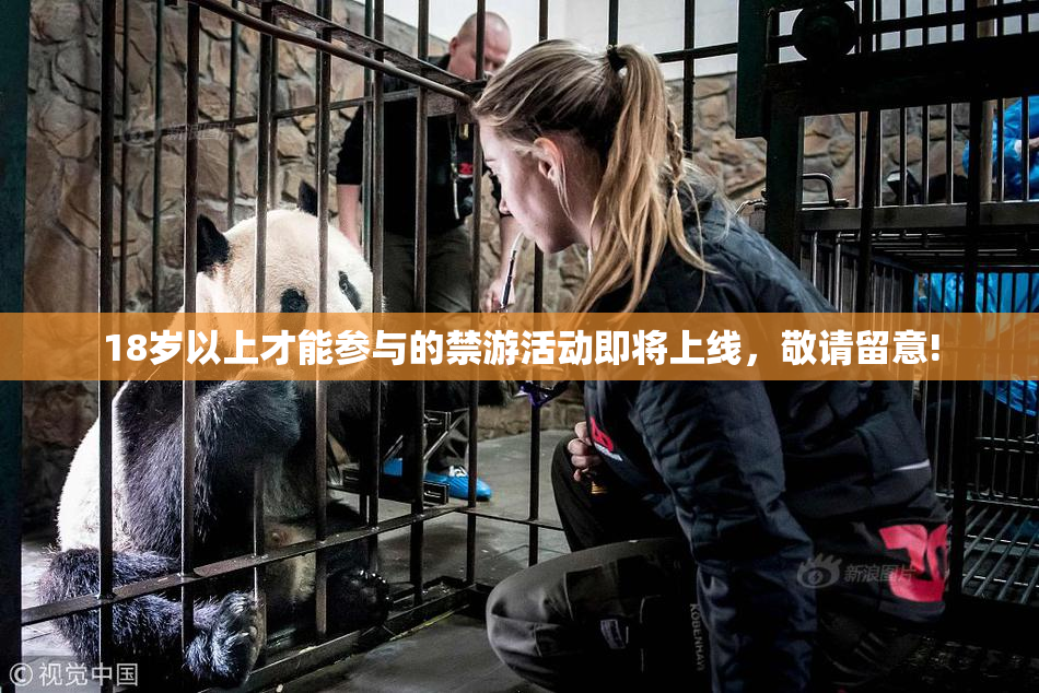 18岁以上才能参与的禁游活动即将上线，敬请留意!
