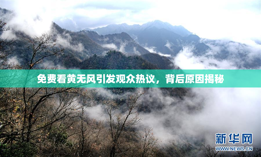 免费看黄无风引发观众热议，背后原因揭秘