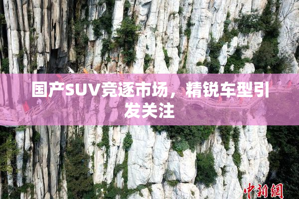 国产SUV竞逐市场，精锐车型引发关注