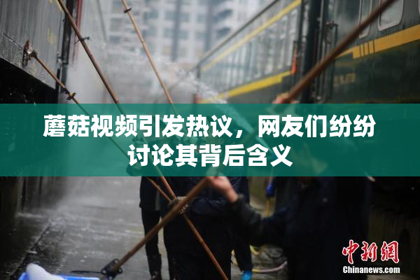 蘑菇视频引发热议，网友们纷纷讨论其背后含义