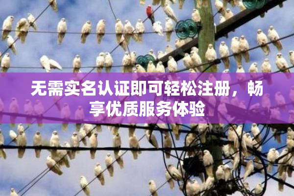 无需实名认证即可轻松注册，畅享优质服务体验