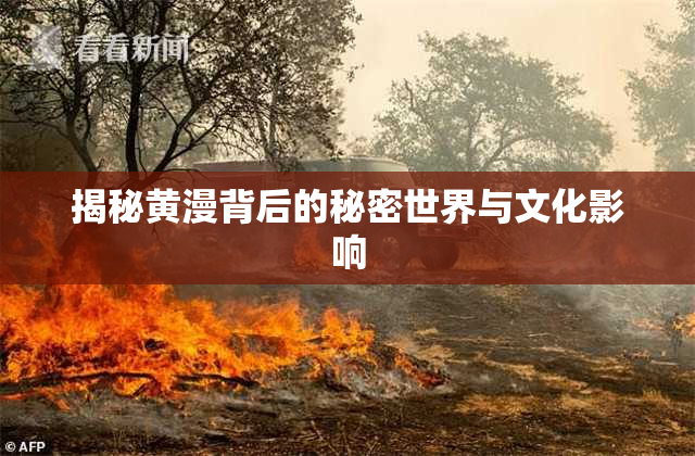 揭秘黄漫背后的秘密世界与文化影响