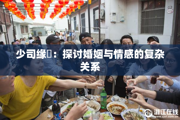 少司缘婬：探讨婚姻与情感的复杂关系
