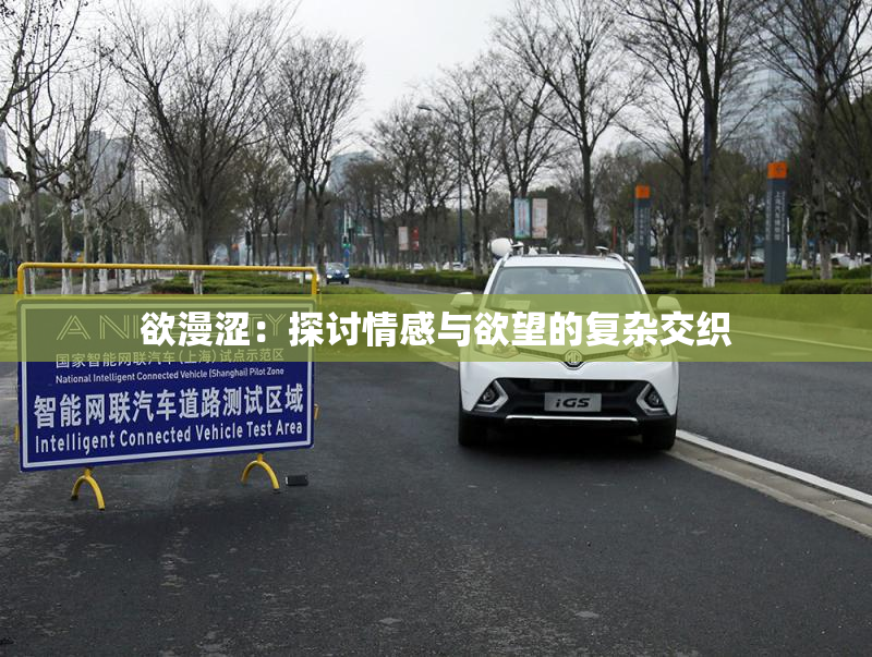 欲漫涩：探讨情感与欲望的复杂交织