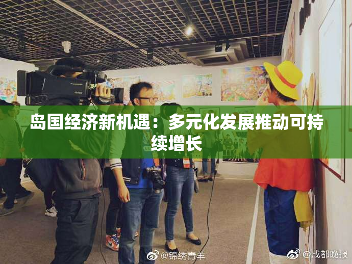 岛国经济新机遇：多元化发展推动可持续增长