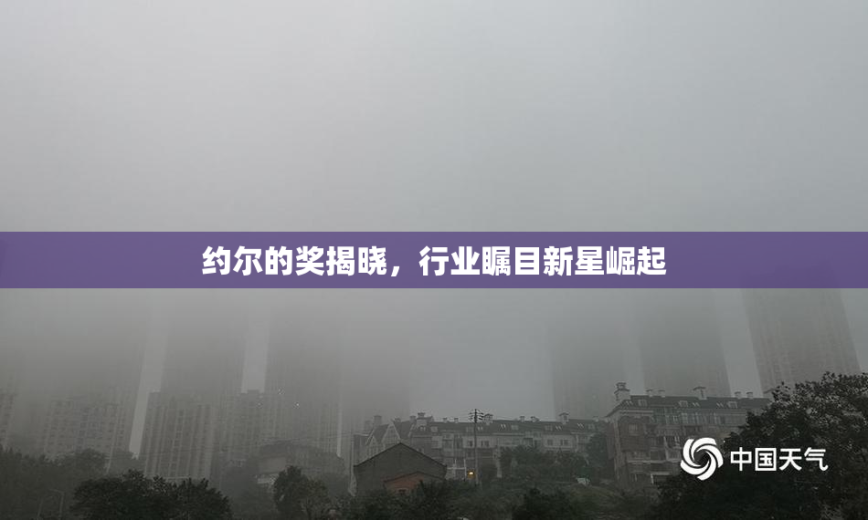 约尔的奖揭晓，行业瞩目新星崛起