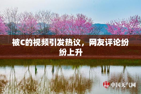 被C的视频引发热议，网友评论纷纷上升