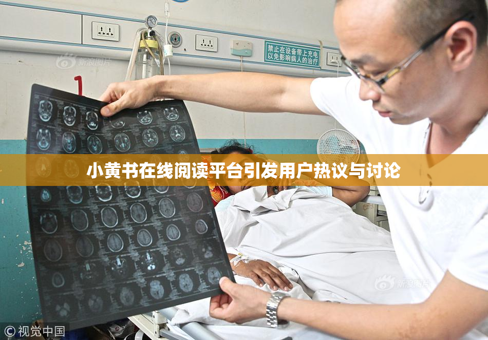 小黄书在线阅读平台引发用户热议与讨论