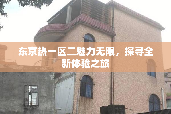 东京热一区二魅力无限，探寻全新体验之旅
