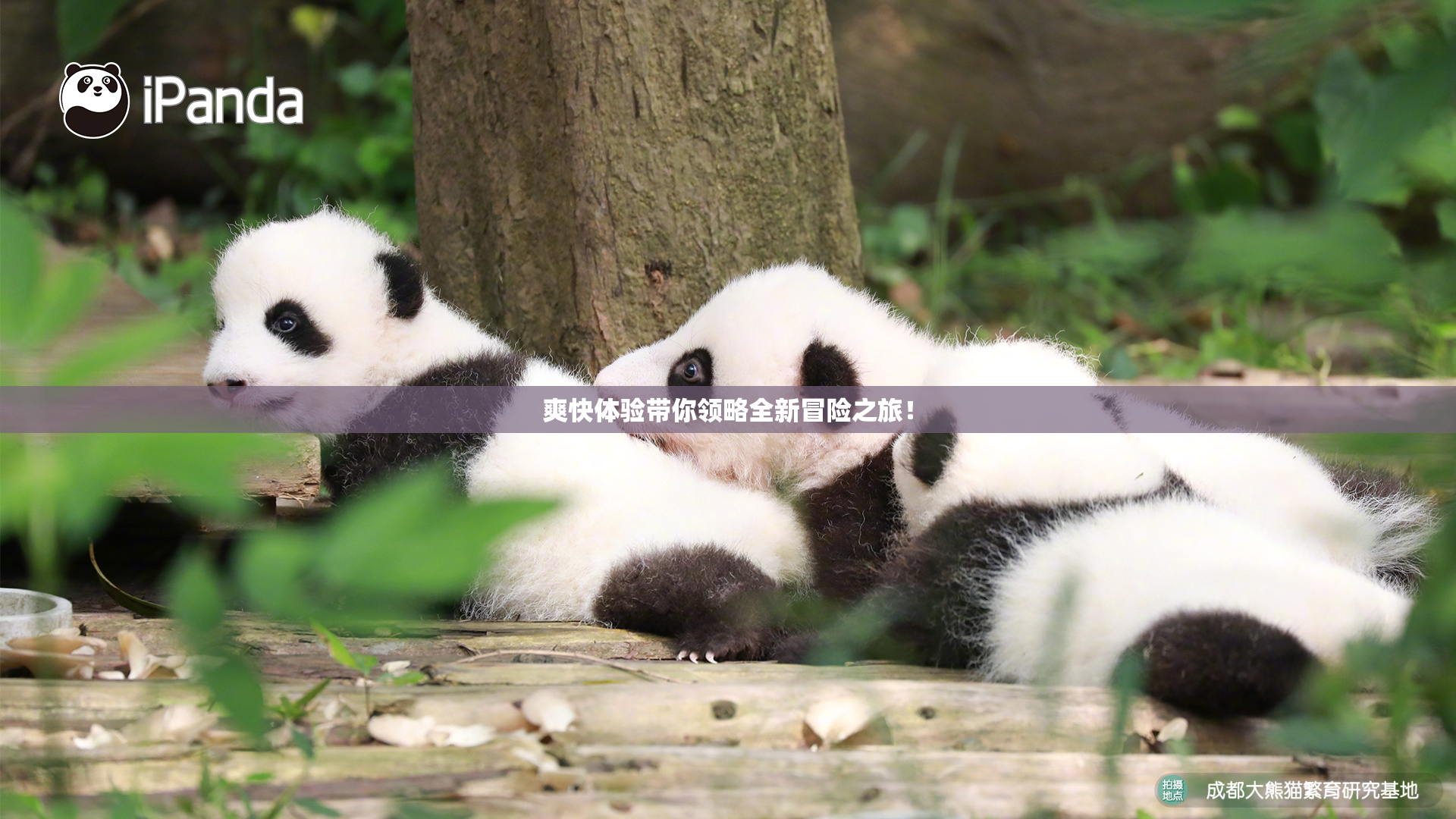 爽快体验带你领略全新冒险之旅！