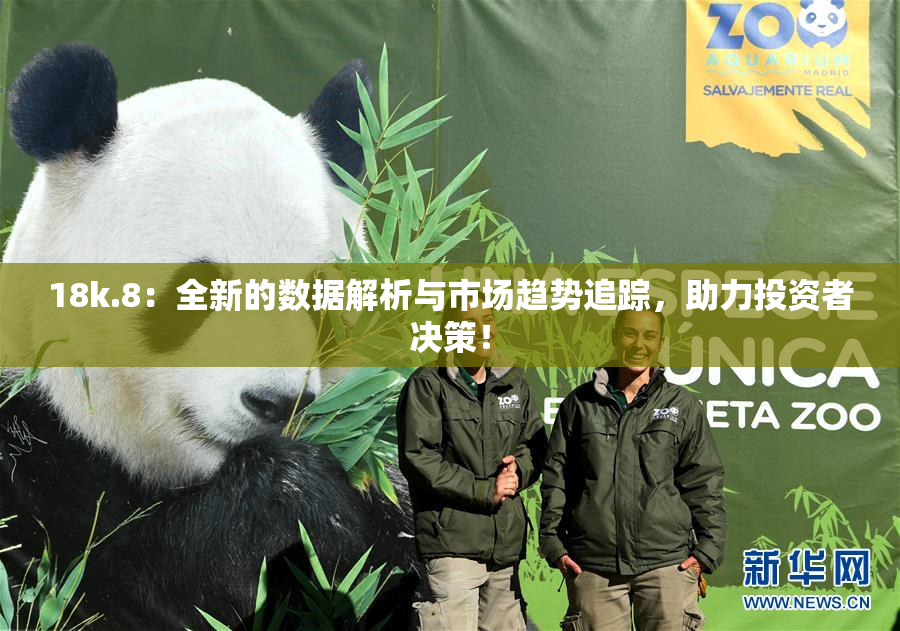 18k.8：全新的数据解析与市场趋势追踪，助力投资者决策！