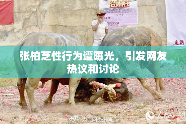 张柏芝性行为遭曝光，引发网友热议和讨论