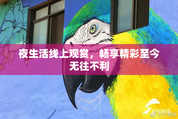 夜生活线上观赏，畅享精彩至今无往不利
