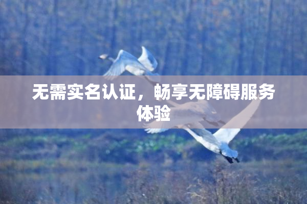 无需实名认证，畅享无障碍服务体验