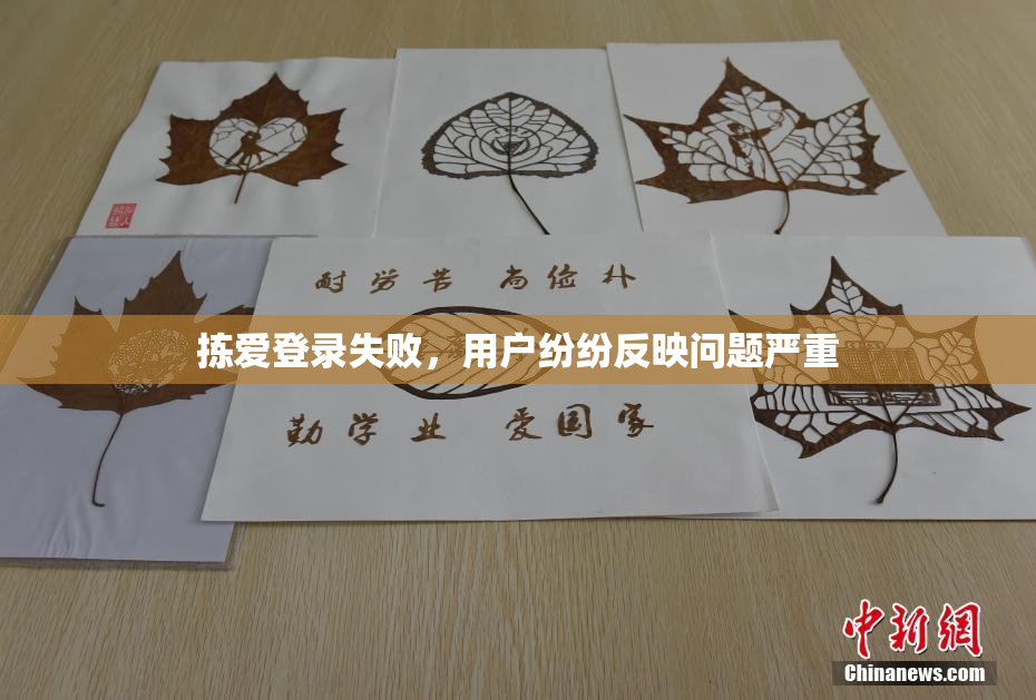 拣爱登录失败，用户纷纷反映问题严重