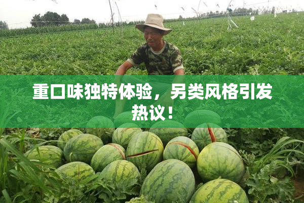 重口味独特体验，另类风格引发热议！