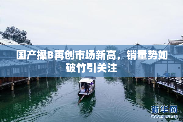 国产搡B再创市场新高，销量势如破竹引关注