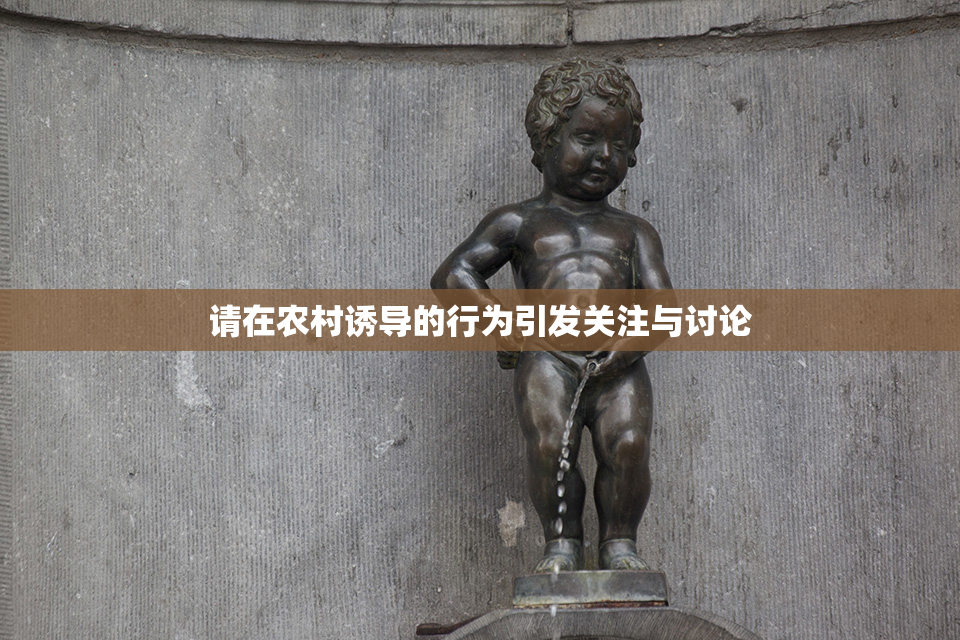 请在农村诱导的行为引发关注与讨论
