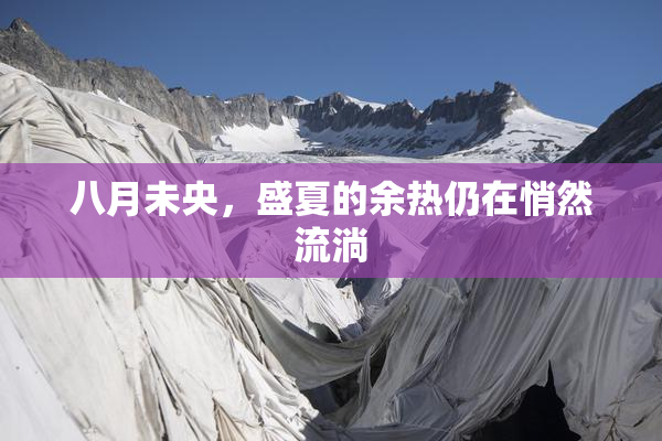 八月未央，盛夏的余热仍在悄然流淌