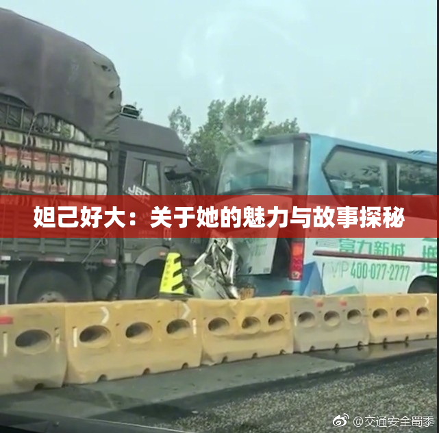 妲己好大：关于她的魅力与故事探秘