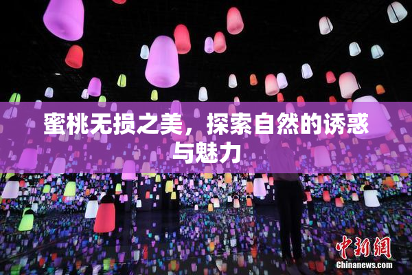 蜜桃无损之美，探索自然的诱惑与魅力