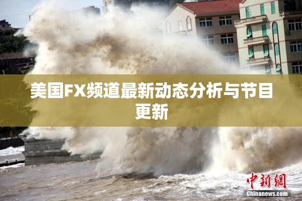 美国FX频道最新动态分析与节目更新