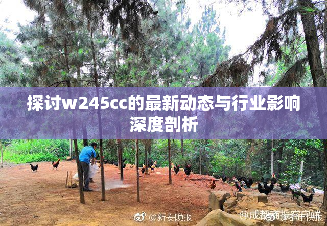 探讨w245cc的最新动态与行业影响深度剖析