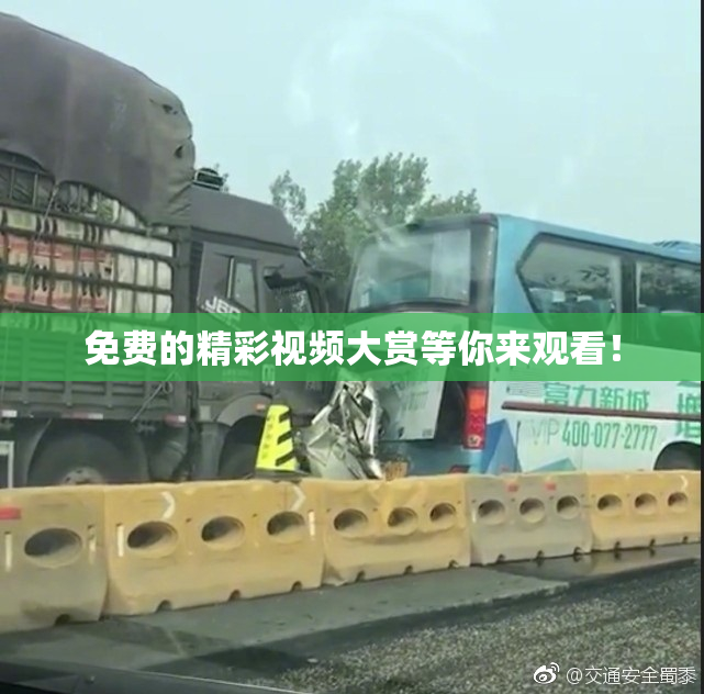 免费的精彩视频大赏等你来观看！
