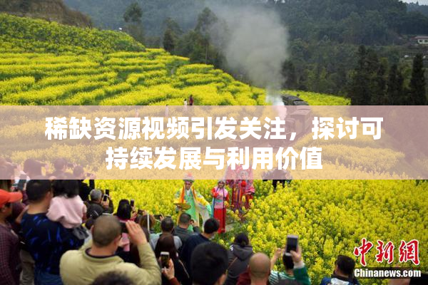 稀缺资源视频引发关注，探讨可持续发展与利用价值