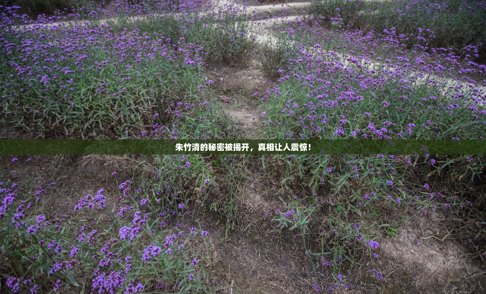 朱竹清的秘密被揭开，真相让人震惊！
