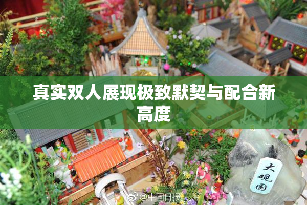 真实双人展现极致默契与配合新高度