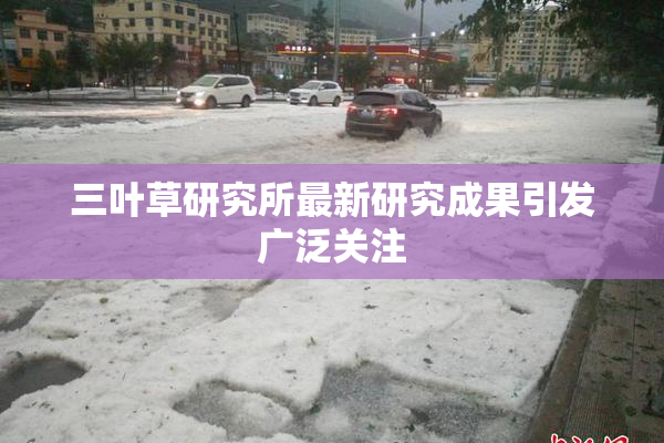 三叶草研究所最新研究成果引发广泛关注