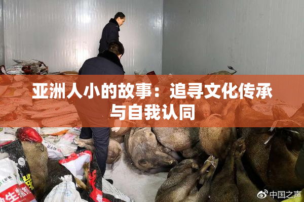 亚洲人小的故事：追寻文化传承与自我认同