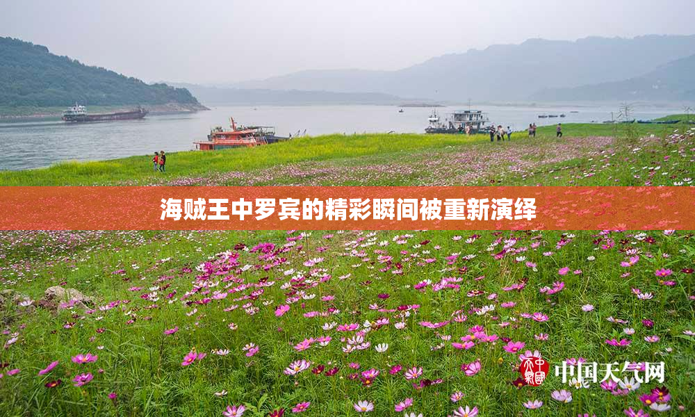 海贼王中罗宾的精彩瞬间被重新演绎