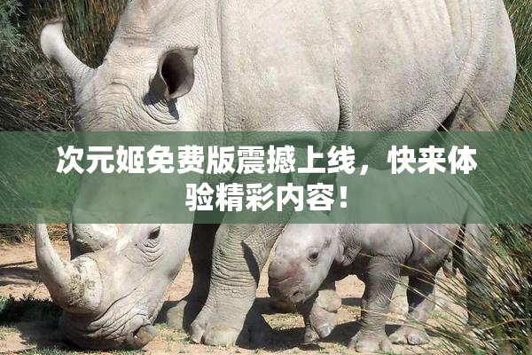次元姬免费版震撼上线，快来体验精彩内容！