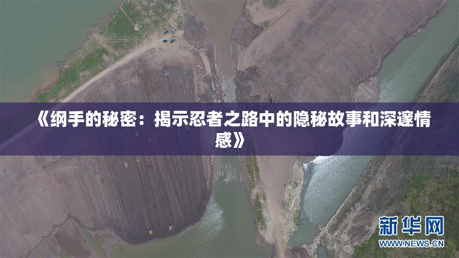 《纲手的秘密：揭示忍者之路中的隐秘故事和深邃情感》