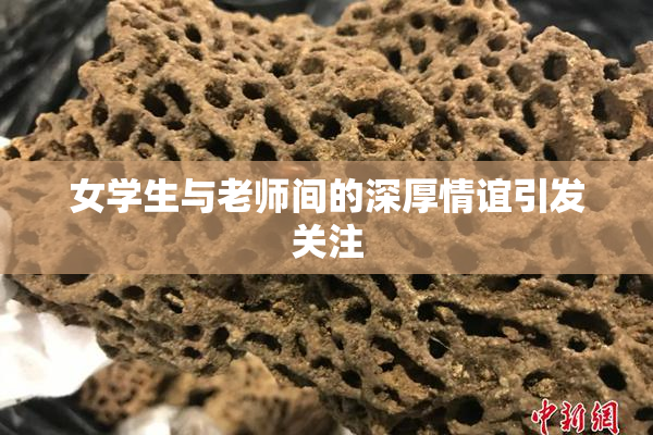 女学生与老师间的深厚情谊引发关注