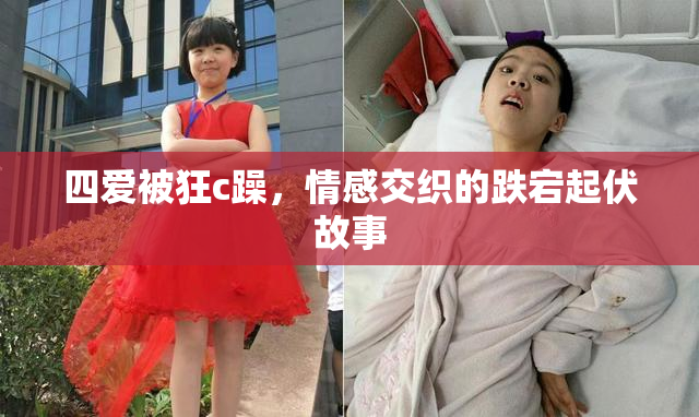 四爱被狂c躁，情感交织的跌宕起伏故事