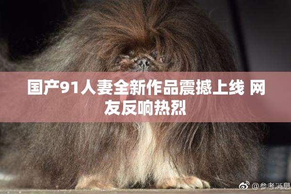 国产91人妻全新作品震撼上线 网友反响热烈
