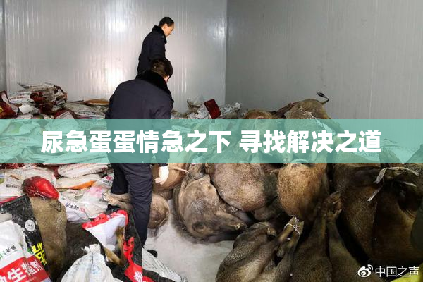 尿急蛋蛋情急之下 寻找解决之道