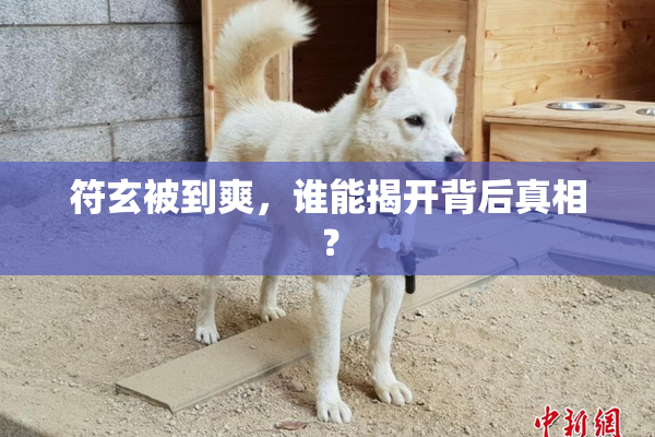 符玄被到爽，谁能揭开背后真相？