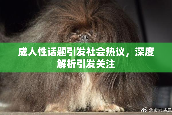 成人性话题引发社会热议，深度解析引发关注