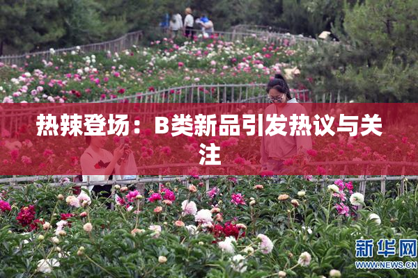 热辣登场：B类新品引发热议与关注