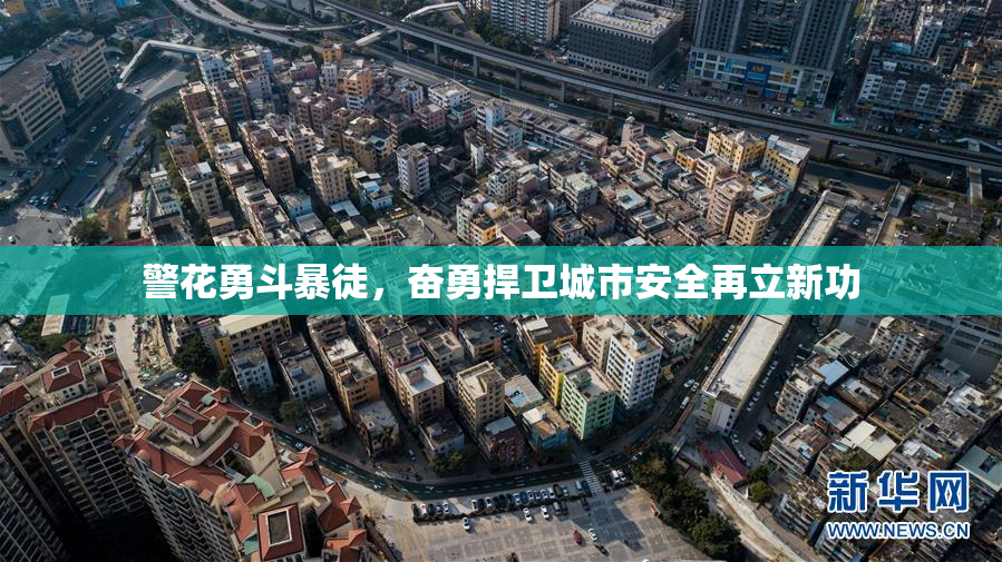 警花勇斗暴徒，奋勇捍卫城市安全再立新功