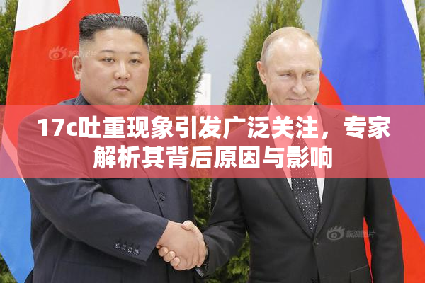 17c吐重现象引发广泛关注，专家解析其背后原因与影响