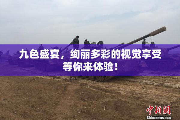 九色盛宴，绚丽多彩的视觉享受等你来体验！