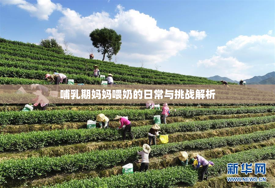 哺乳期妈妈喂奶的日常与挑战解析