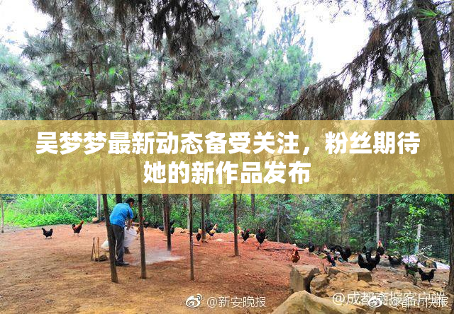 吴梦梦最新动态备受关注，粉丝期待她的新作品发布